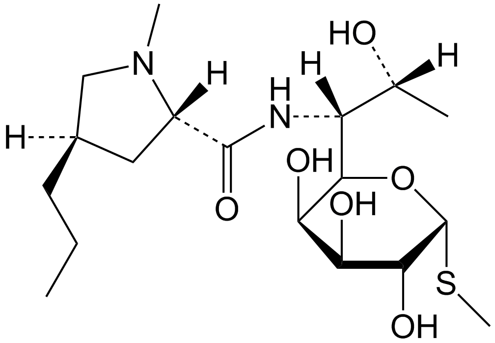 Buy Clindamycin Phosphate Ep Impurity A; Lincomycin(base); Clindamycin 